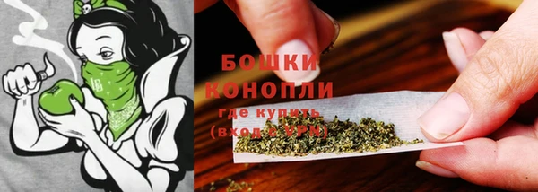 гидра Кущёвская