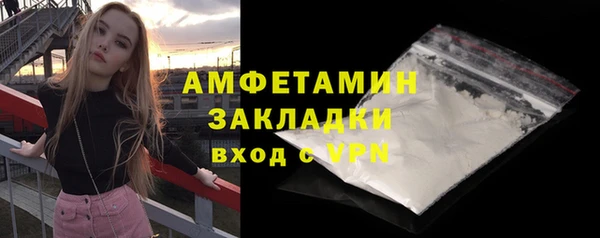 гидра Кущёвская