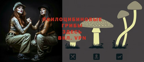 гидра Кущёвская