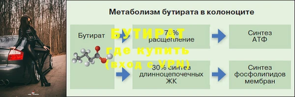 гидра Кущёвская