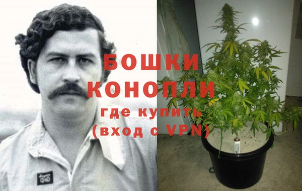 гидра Кущёвская