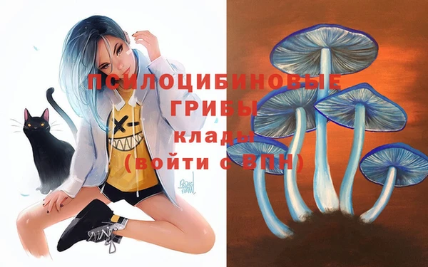 хмурый Сосновый Бор