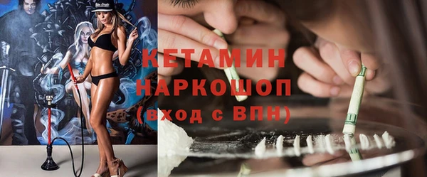 гидра Кущёвская