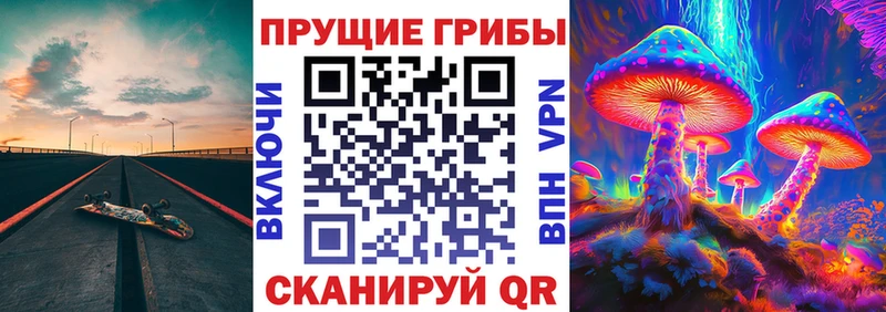 Псилоцибиновые грибы Psilocybine cubensis  Новороссийск 