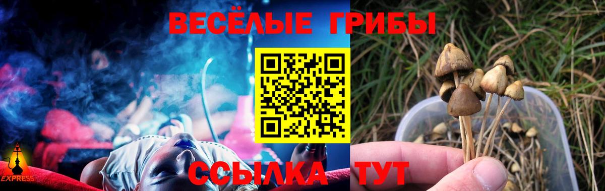 Псилоцибиновые грибы прущие грибы  Вход с VPN  Галлюциногенные грибы прущие грибы  Новороссийск 