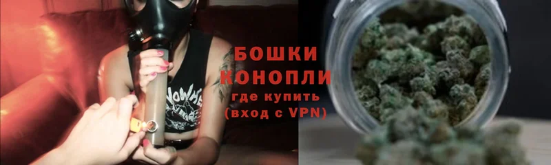 МАРИХУАНА план Новороссийск